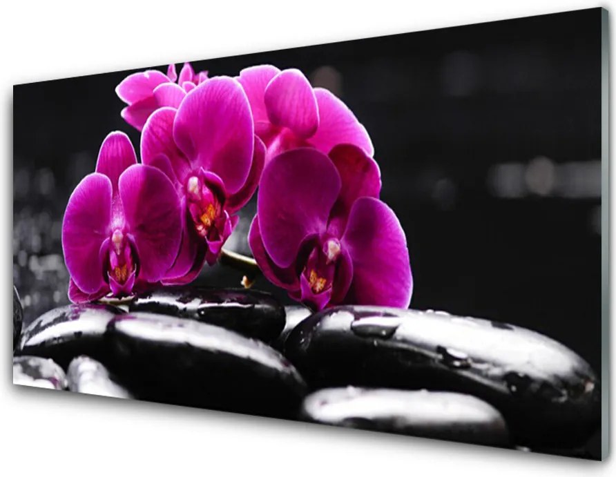 Dekor Szklany do Kuchni Równowaga Ciała i Duszy: Zen