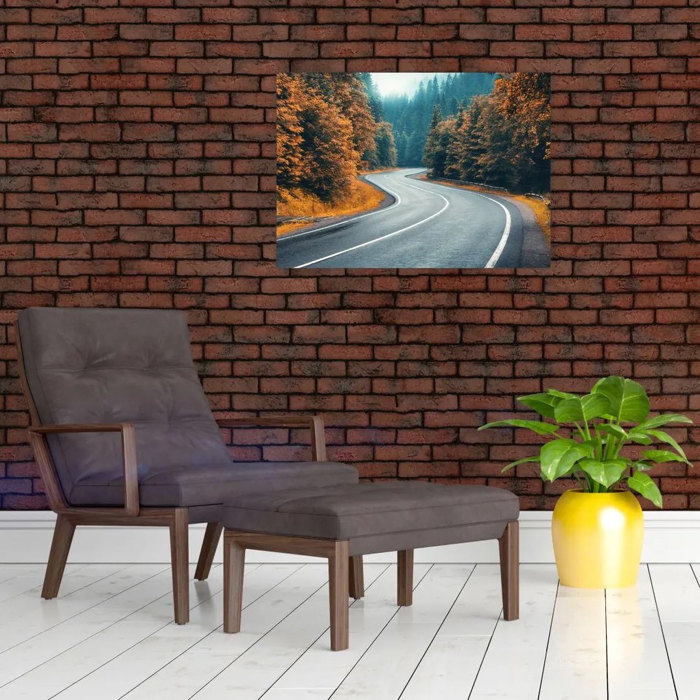 Obraz - Kręta droga (70x50 cm)