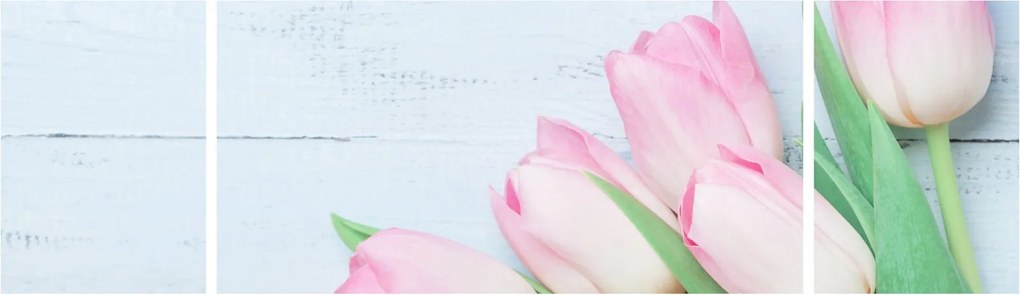 Zdjęcie - Bukiet tulipanów (170x50 cm)
