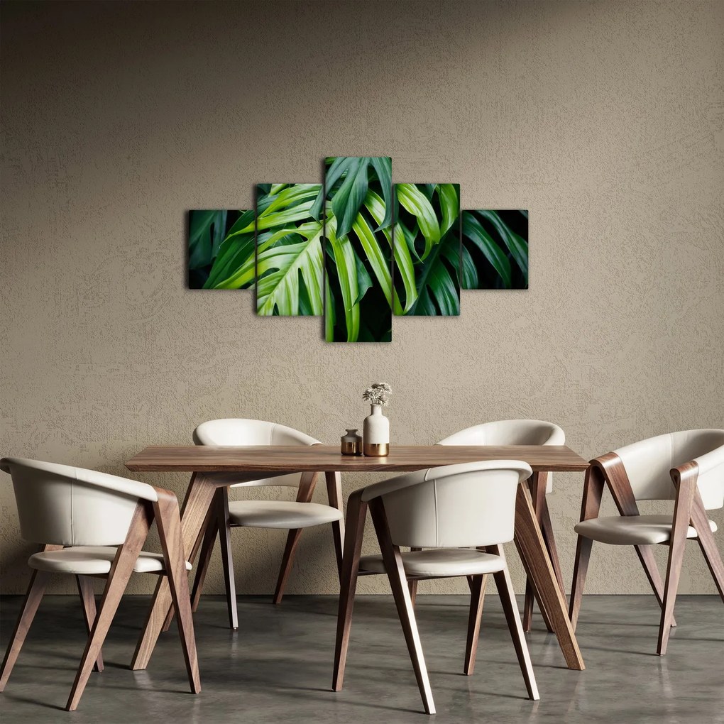 Obraz - Tropikalne liście (125x70 cm)