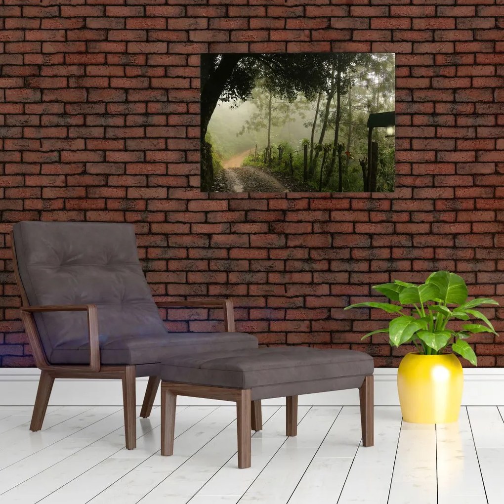 Obraz na szkle porannej mgły (70x50 cm)