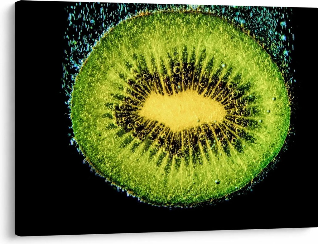 Obraz - szczegół kiwi w wodzie (70x50 cm)