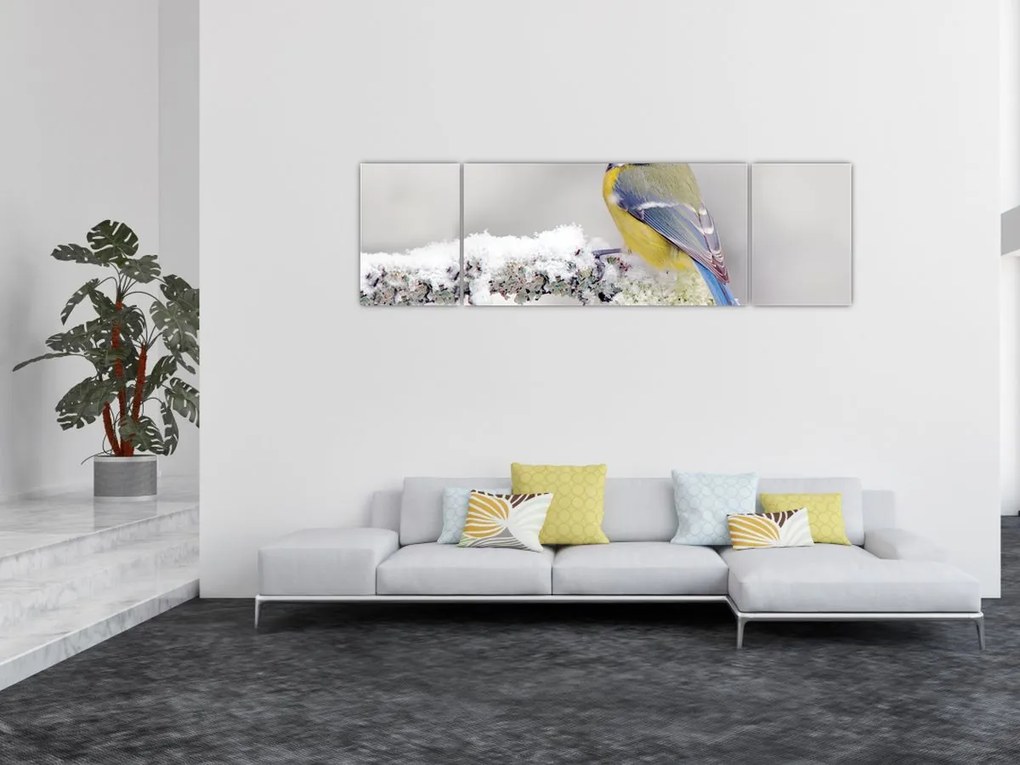 Obraz - Sikora modraszka w lesie (170x50 cm)