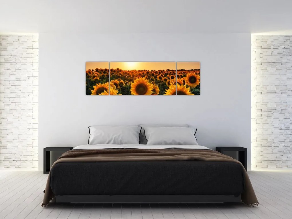 Obraz - Słonecznik (170x50 cm)