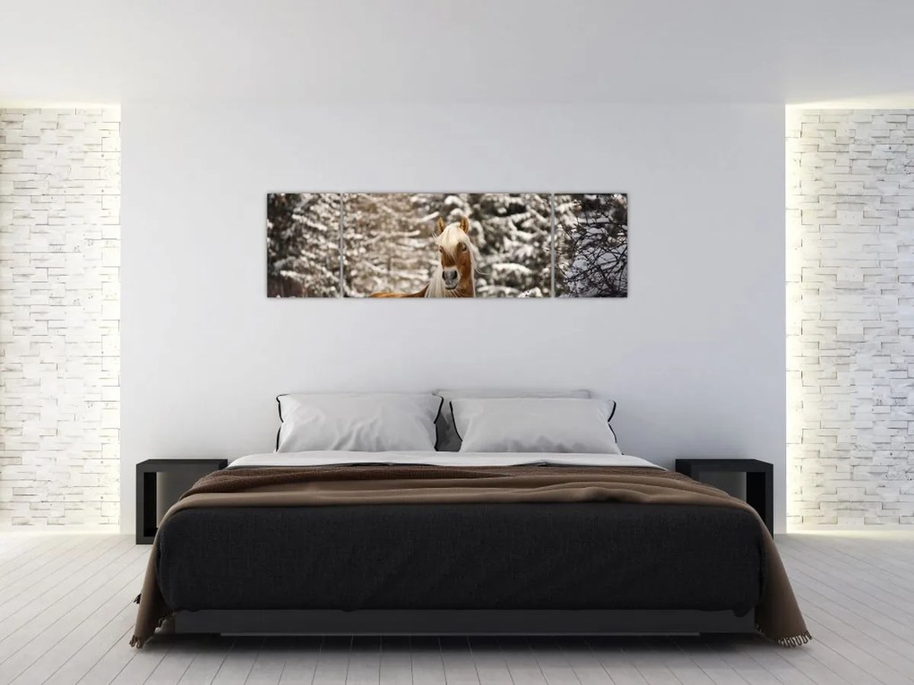 Obraz - Koń w zimowym krajobrazie (170x50 cm)