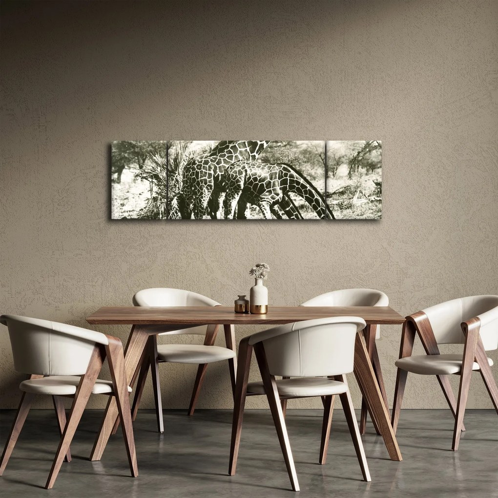 Obraz - Żyrafy, vintage (170x50 cm)