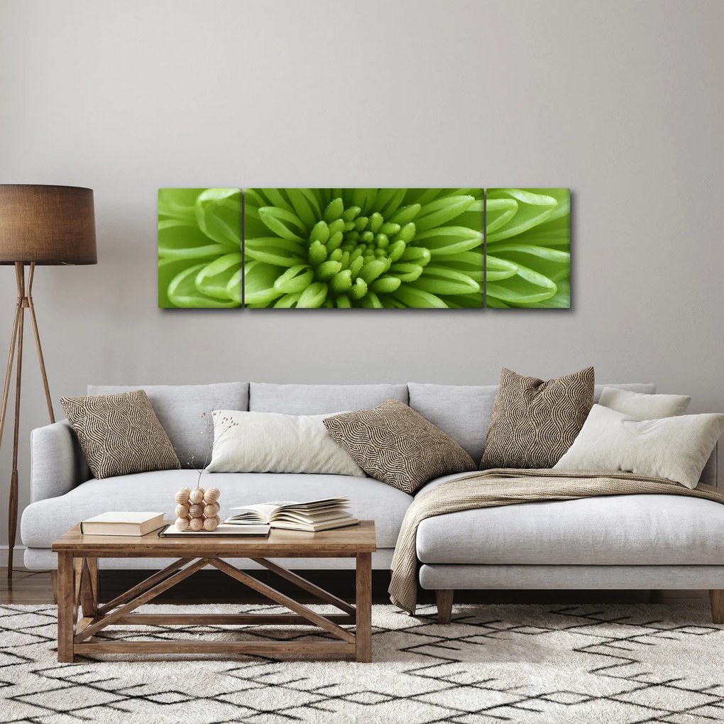 Obraz - Obraz rośliny w trybie makro (170x50 cm)