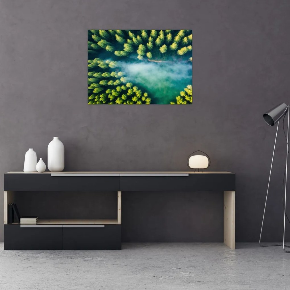 Obraz na szkle - Las spowity mgłą (70x50 cm)