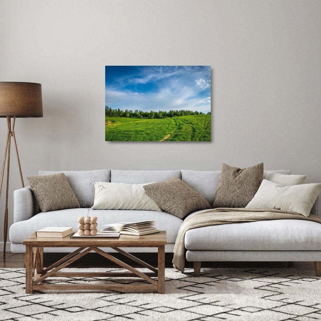 Obraz na szkle - łąka (70x50 cm)