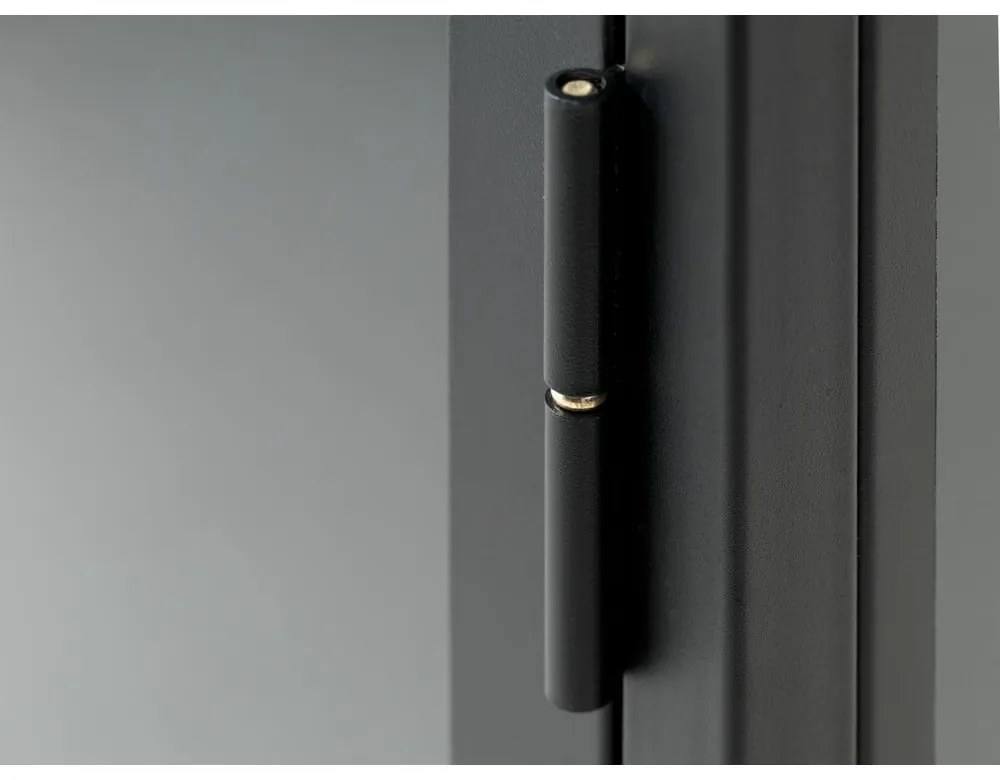 Czarna metalowa witryna 58x160 cm Carmel – Unique Furniture