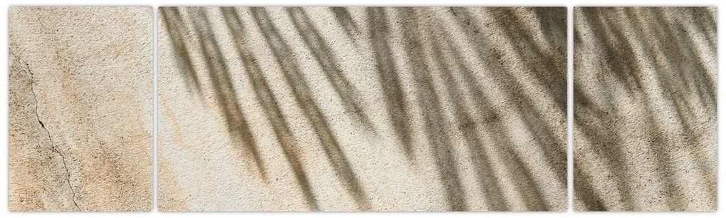Obraz - Cienie (170x50 cm)