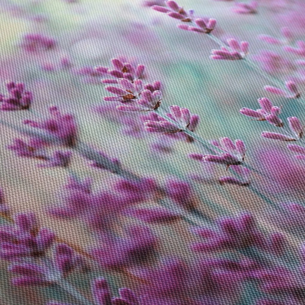 Obraz - Lawenda (125x70 cm)