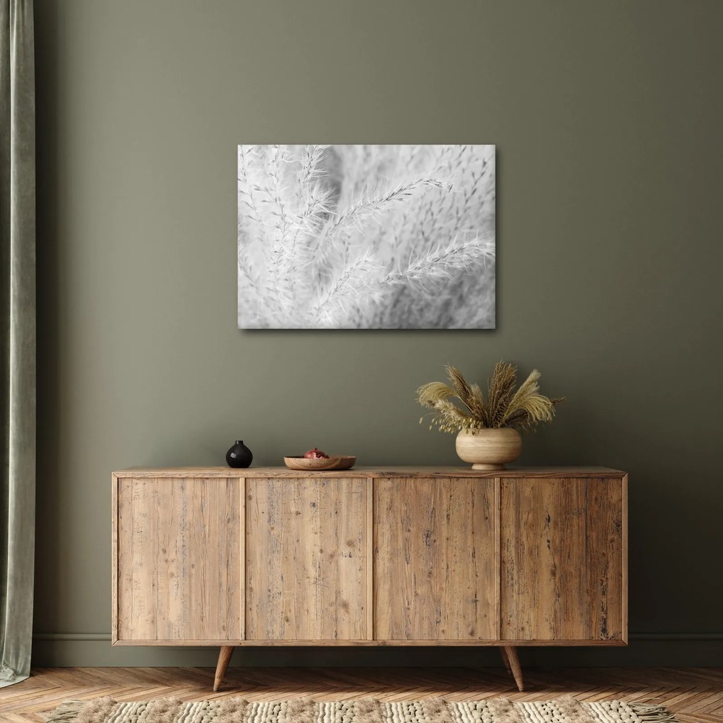 Obraz - Trawa pampasowa N⁰1 (70x50 cm)
