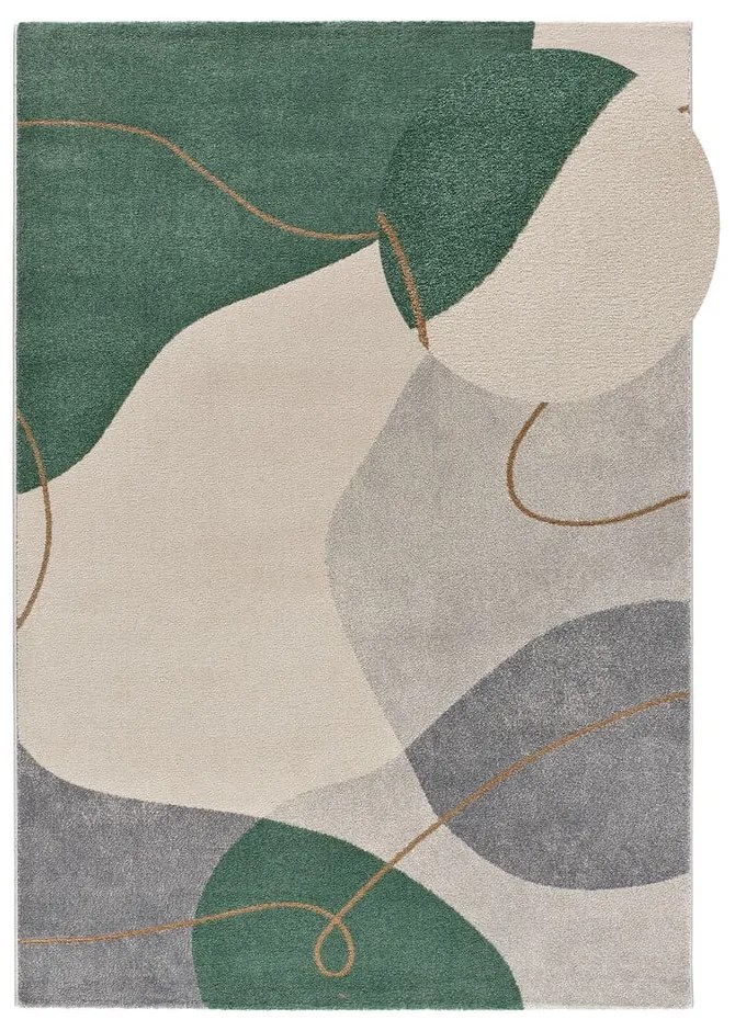 Zielony dywan 160x230 cm Edesa – Universal