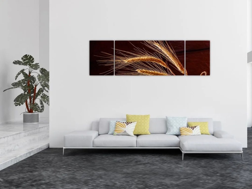 Obraz - Fragment kłosa żyta (170x50 cm)