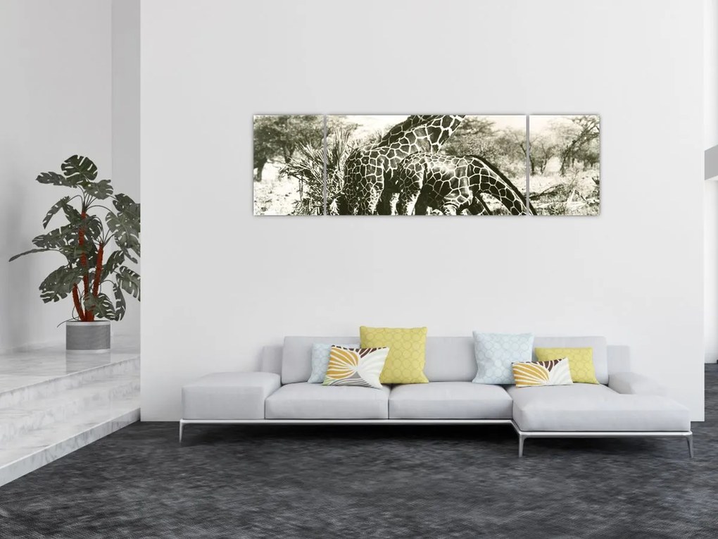Obraz - Żyrafy, vintage (170x50 cm)