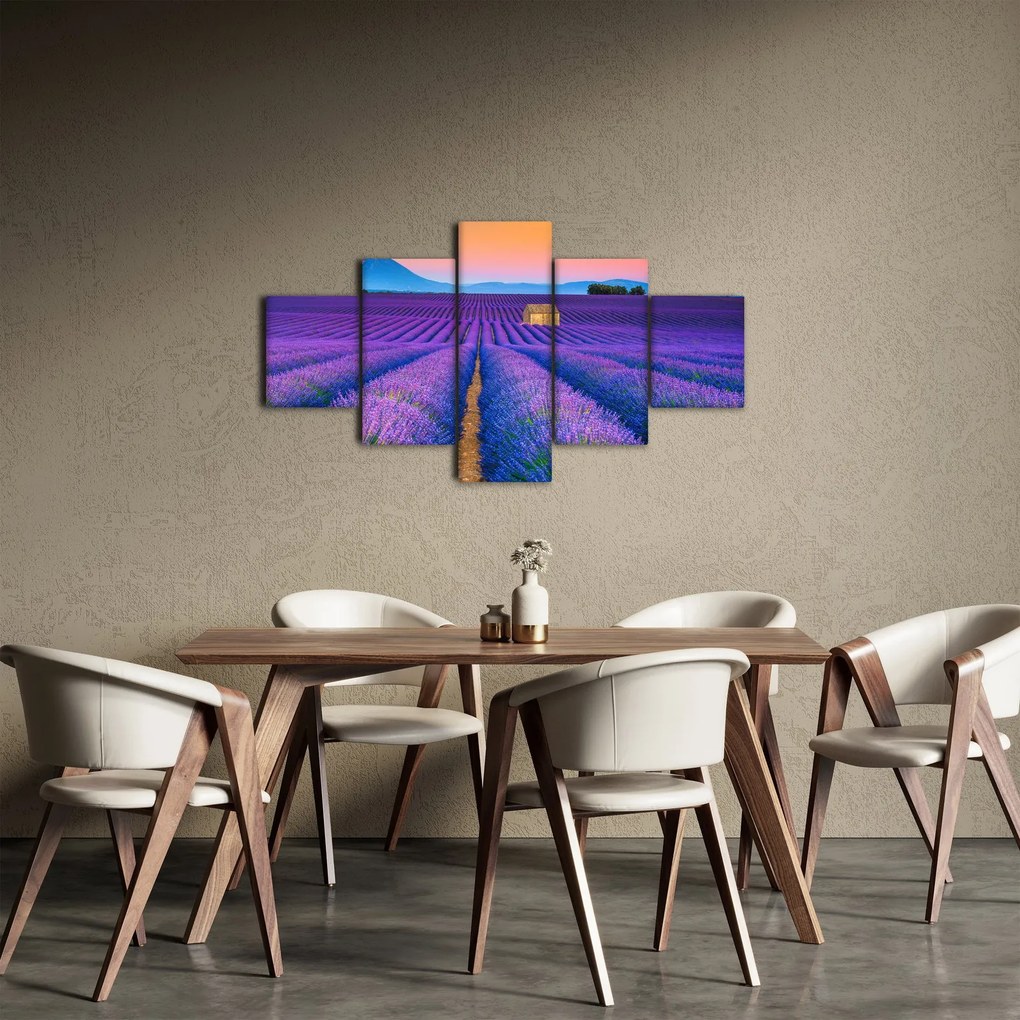 Obraz - Lewndowe pole (125x70 cm)
