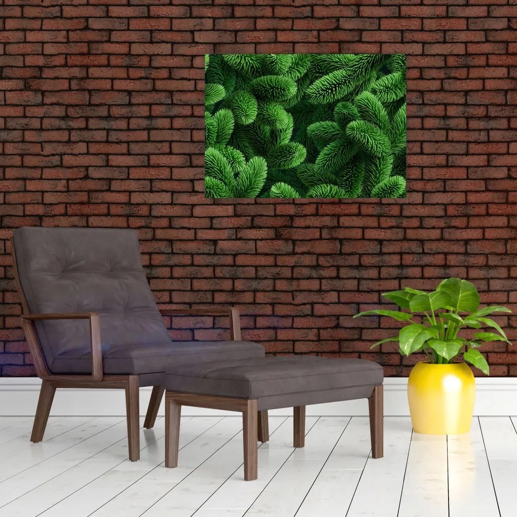 Obraz na szkle - Gałązki drzew iglastych (70x50 cm)