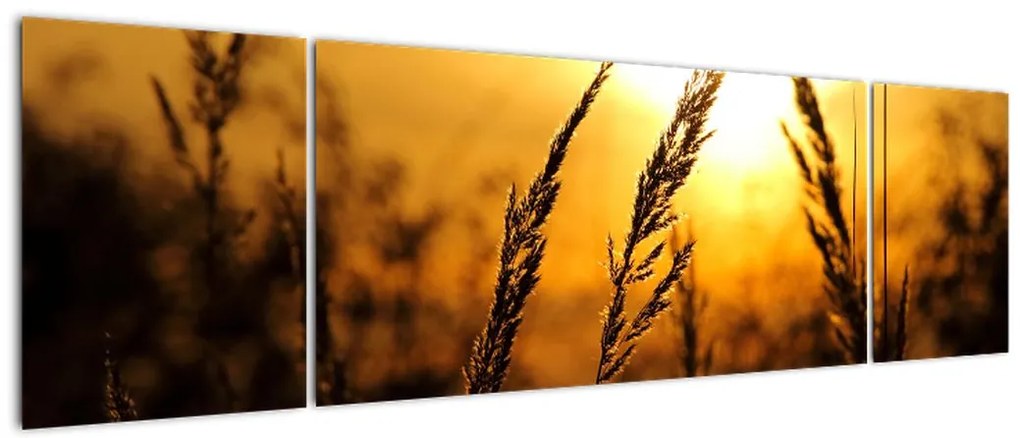 Obraz zachodzącego słońca (170x50 cm)