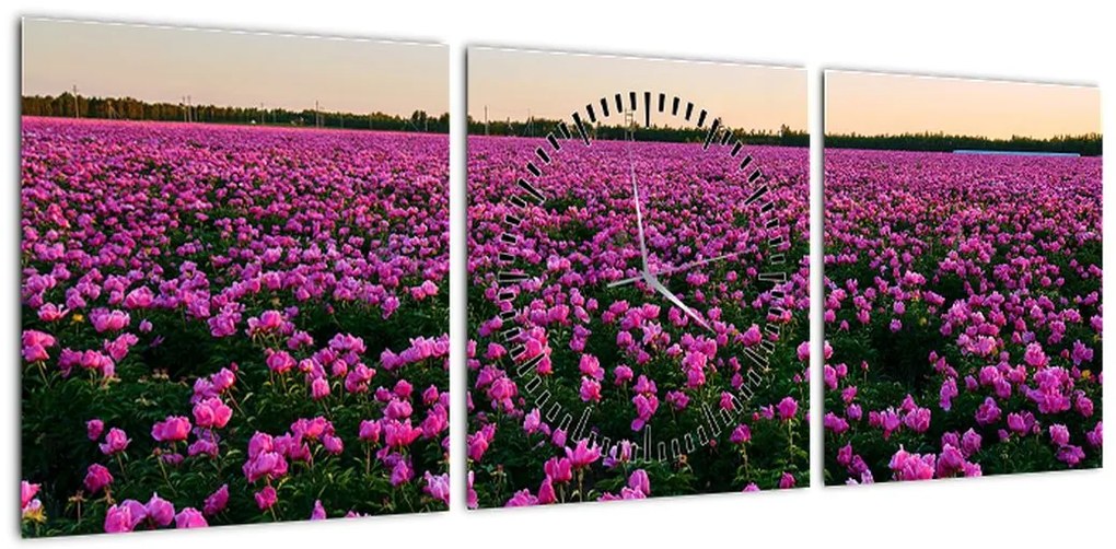 Obraz - Łąka fioletowych tulipanów (z zegarem) (90x30 cm)