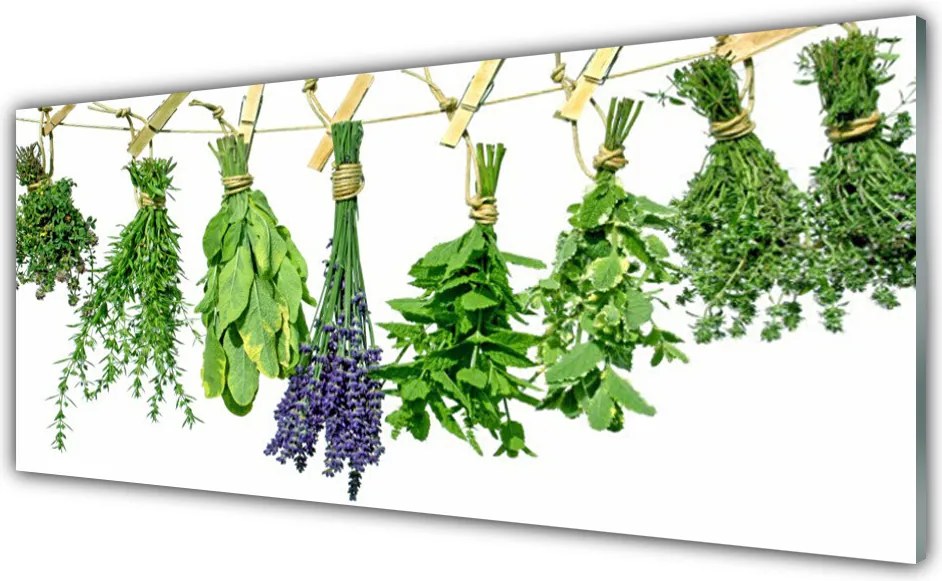 Panel Szklany Płatki Kwiatów i Zioła