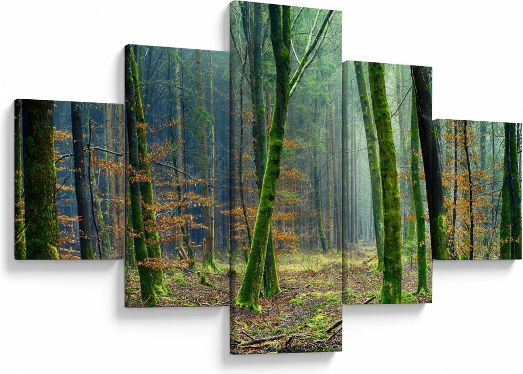 Obraz lasu (125x70 cm)