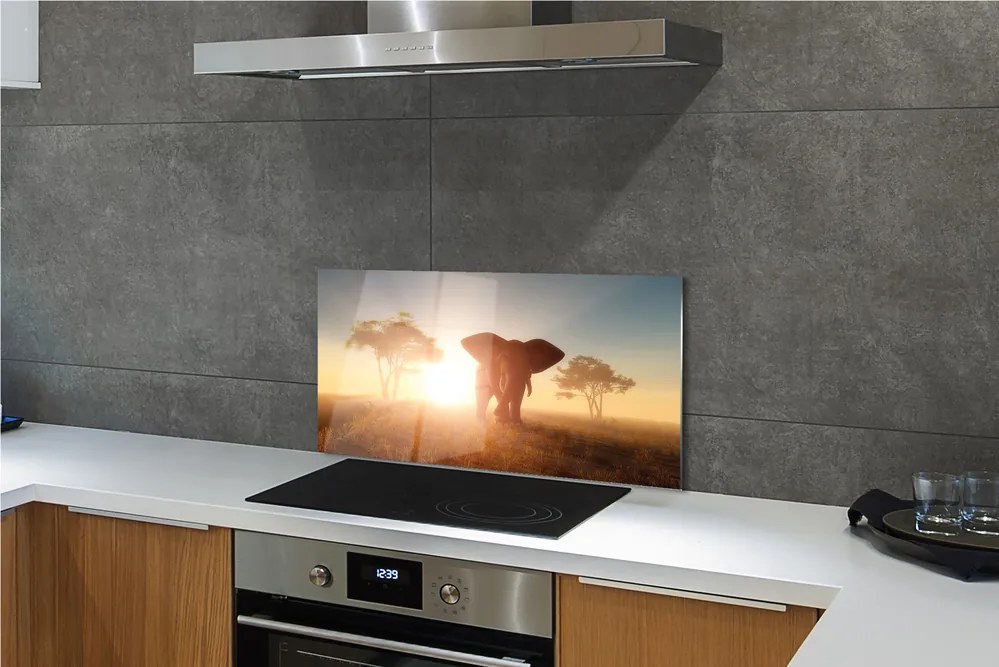 Panel szklany do Kuchni Słoń o Wschodzie Słońca na Sawannie