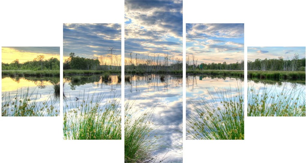 Obraz jeziora z trzcinami (125x70 cm)