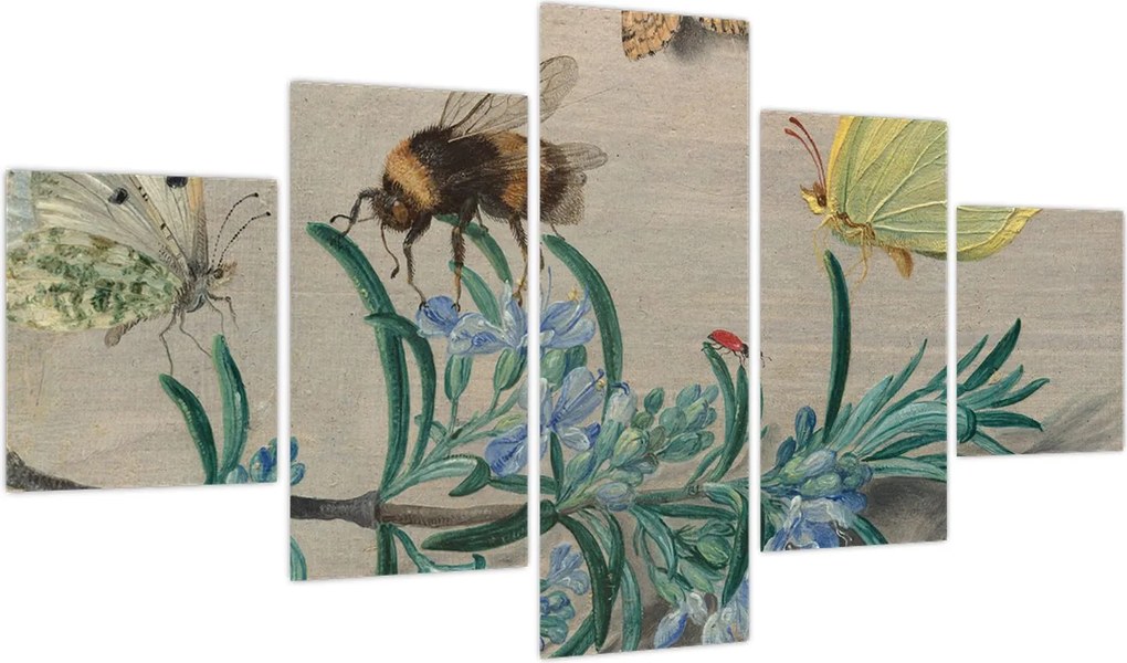 Obraz - Jan van Kessel the Elder, Insects and a Sprig of Rosemary, reprodukcje (125x70 cm)