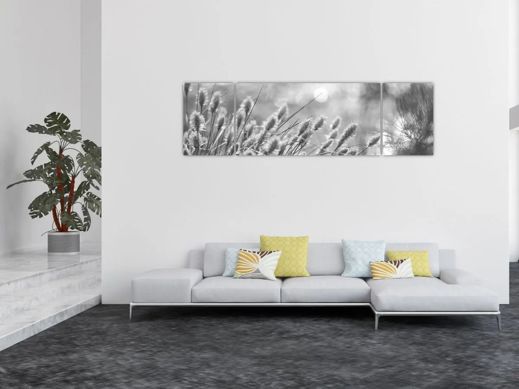 Obraz - Beżowa miękka trawa N⁰1 (170x50 cm)