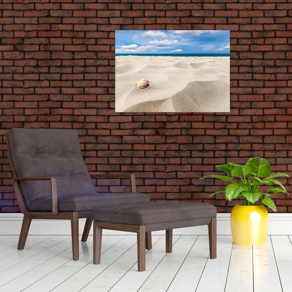 Obraz - Muszle na plaży (70x50 cm)