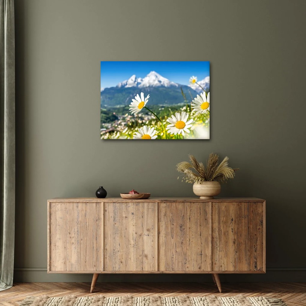 Obraz - Wiosna w Alpach (70x50 cm)