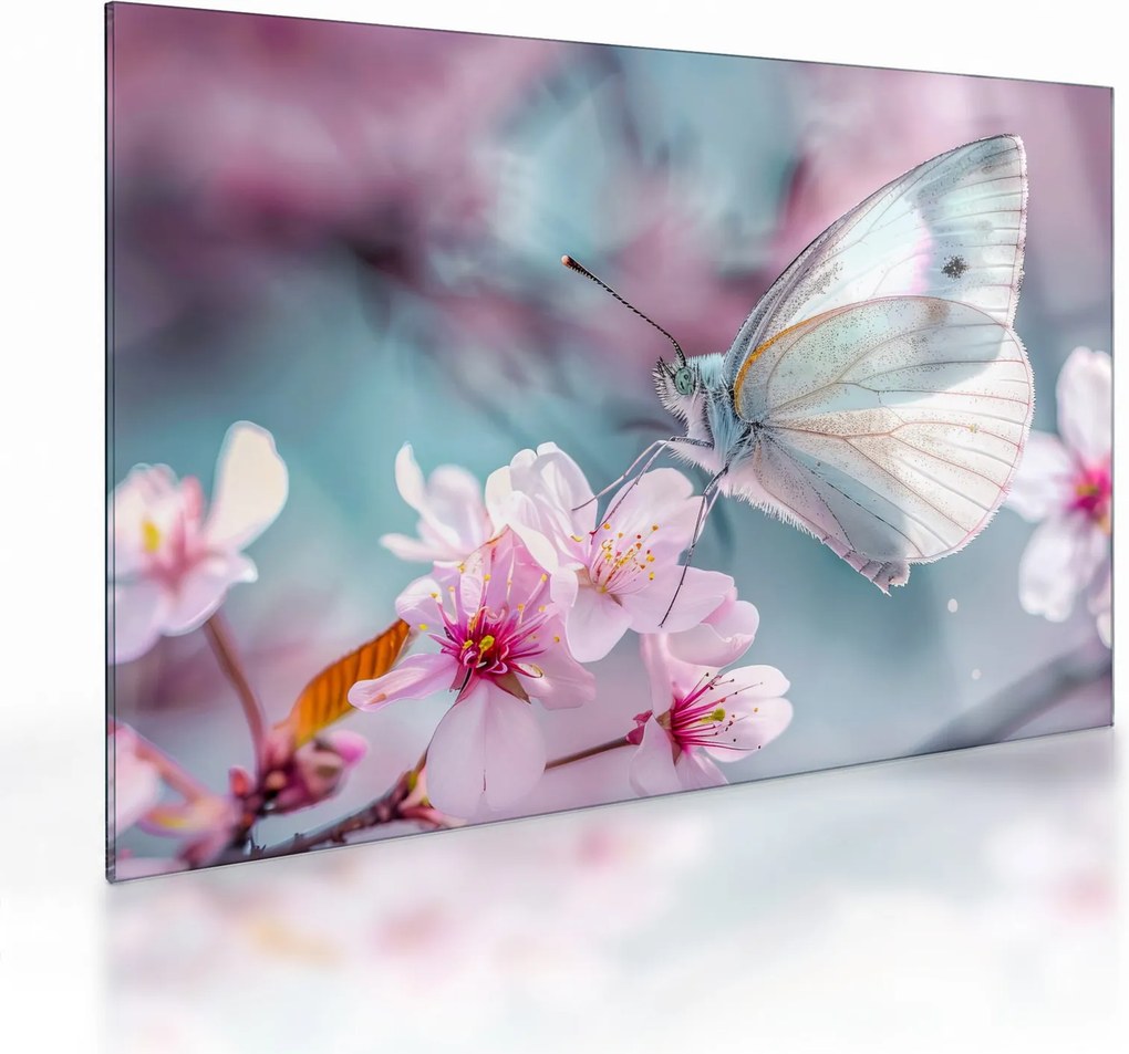 Obraz na szkle - Motyl na drzewie wiśni (70x50 cm)