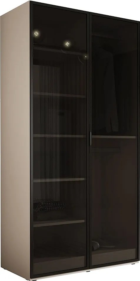 Szafa: Piaskowy beż / Szkło antysłoneczne, 100 x 200 x 51 cm