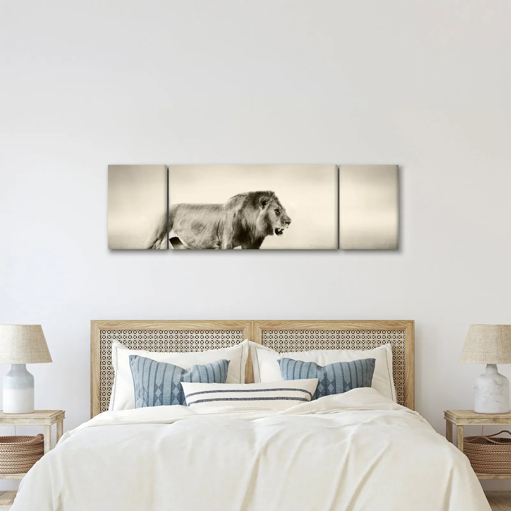 Obraz - Głodny lew (170x50 cm)