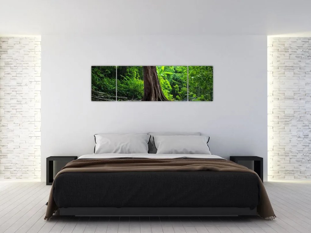 Obraz - Stare drzewo z korzeniami (170x50 cm)