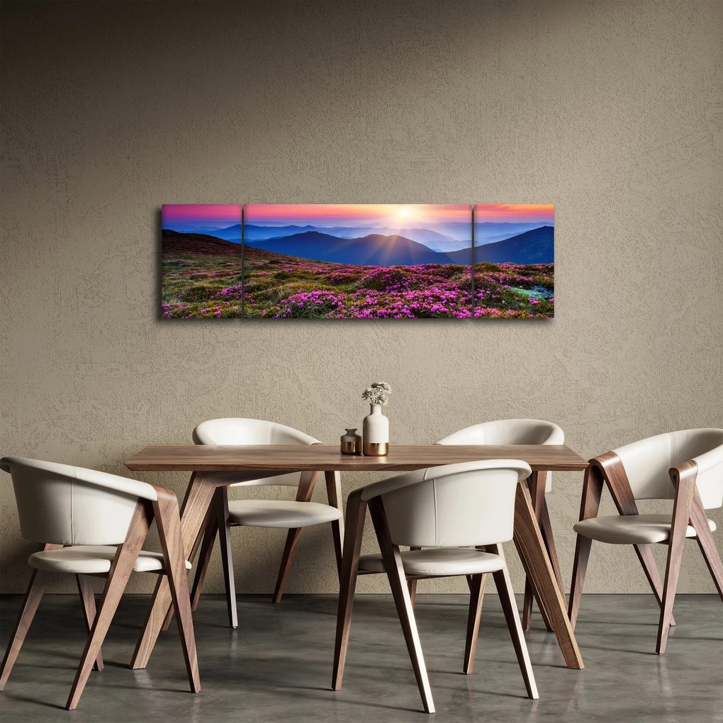 Obraz - Krajobraz kwitnących gór (170x50 cm)
