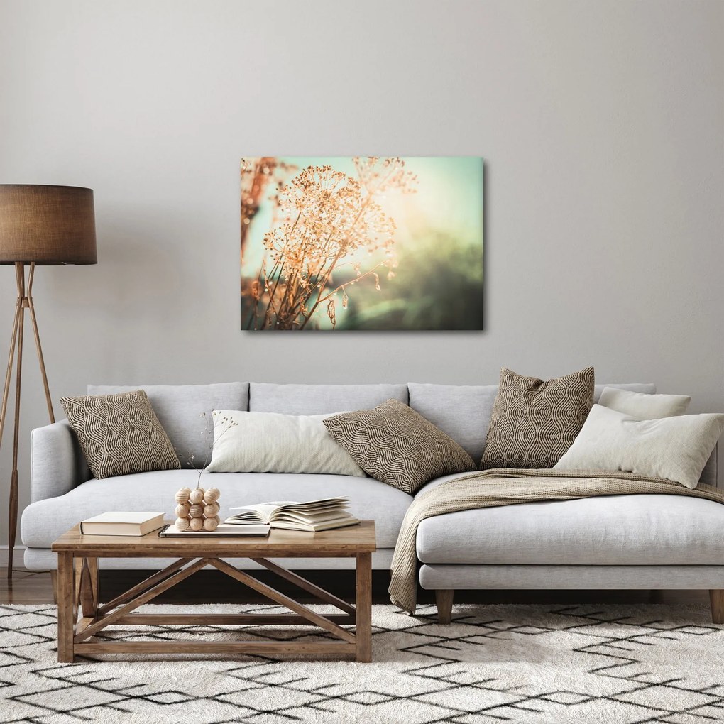 Obraz - Rośliny po deszczu (70x50 cm)
