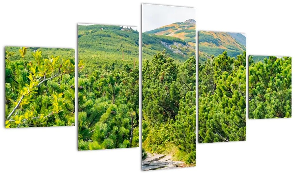 Obraz - Babia Góra, Polska (125x70 cm)