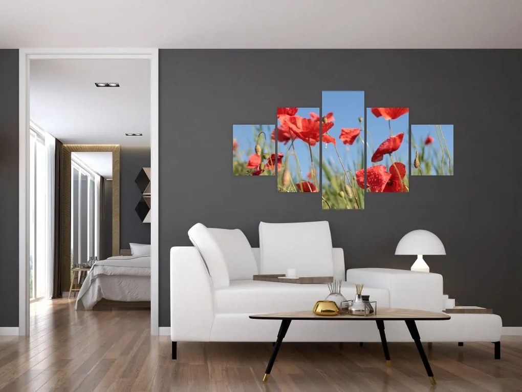 Obraz - Maki (125x70 cm)