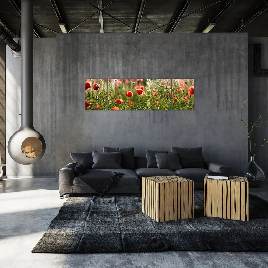 Obraz maków (170x50 cm)