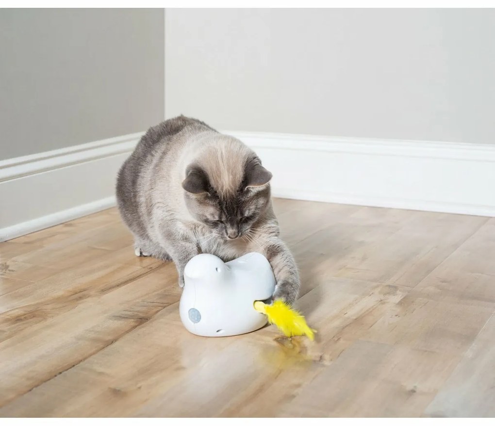 PetSafe® Peek-a-Bird™ Automatyczna zabawka dlakotów