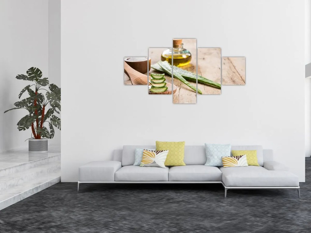 Obraz - Aloes (125x70 cm)