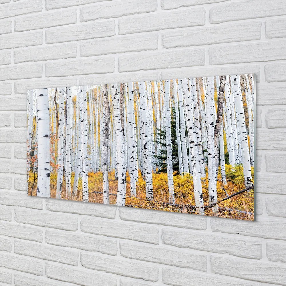 Szklany Panel Jesień brzozy