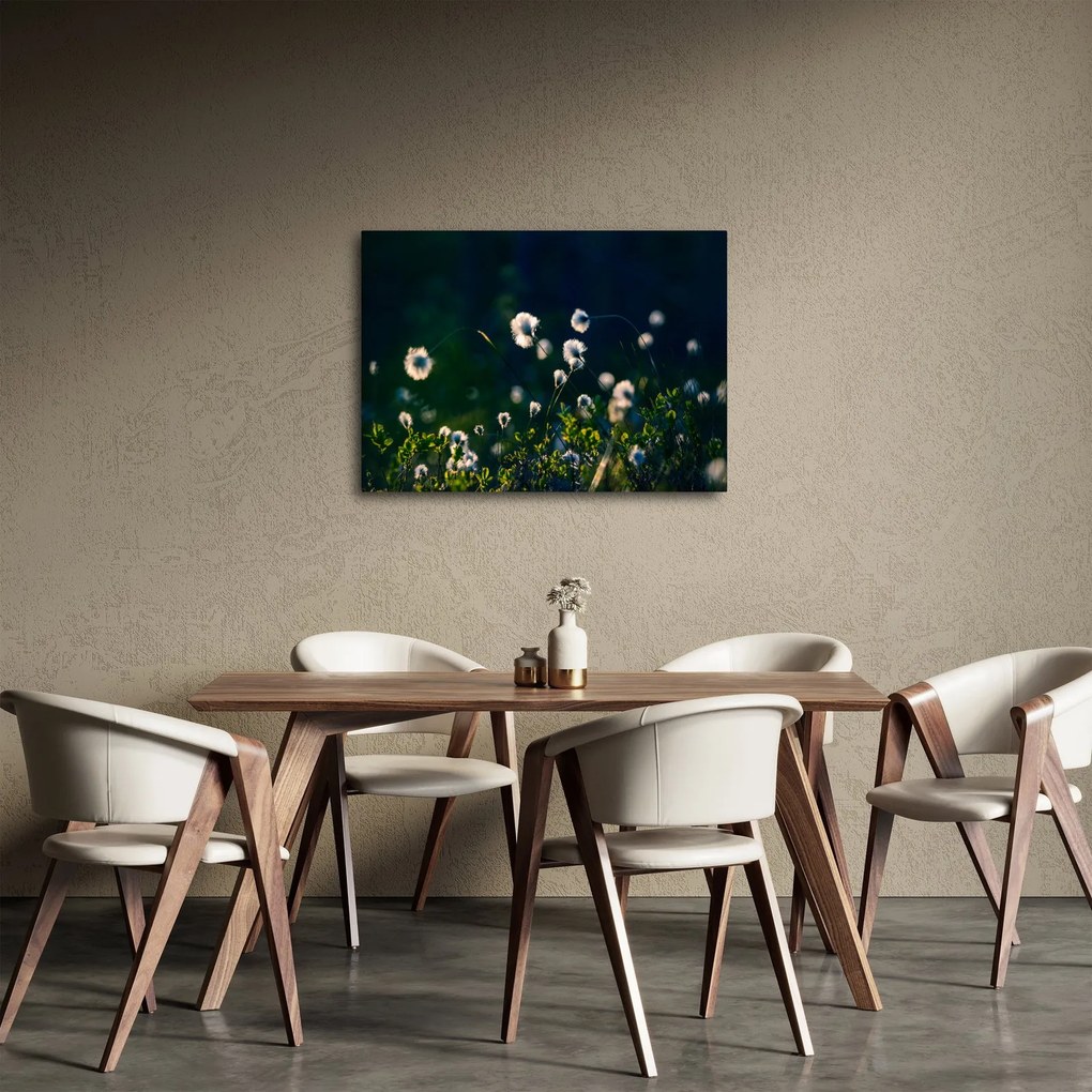 Obraz - Trawa (70x50 cm)