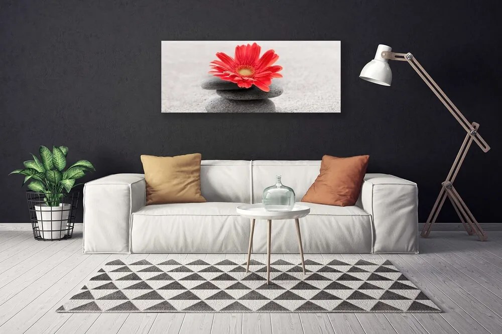 Obraz canvas Radosna Gerbera w Detalu