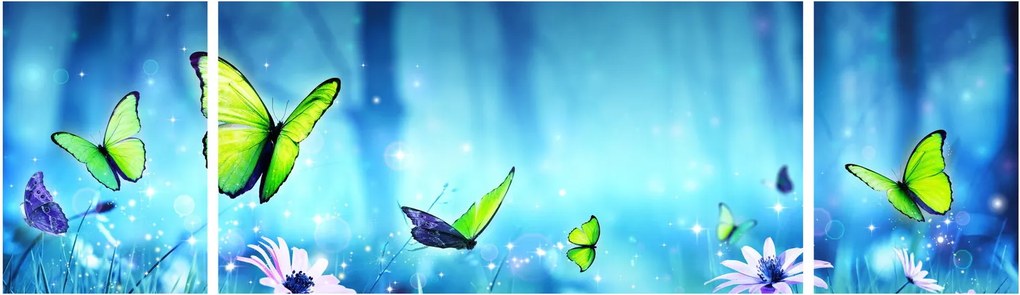Obraz - Mistyczna leśna polana (170x50 cm)