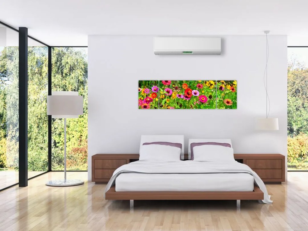 Obraz kwiatów polnych (170x50 cm)