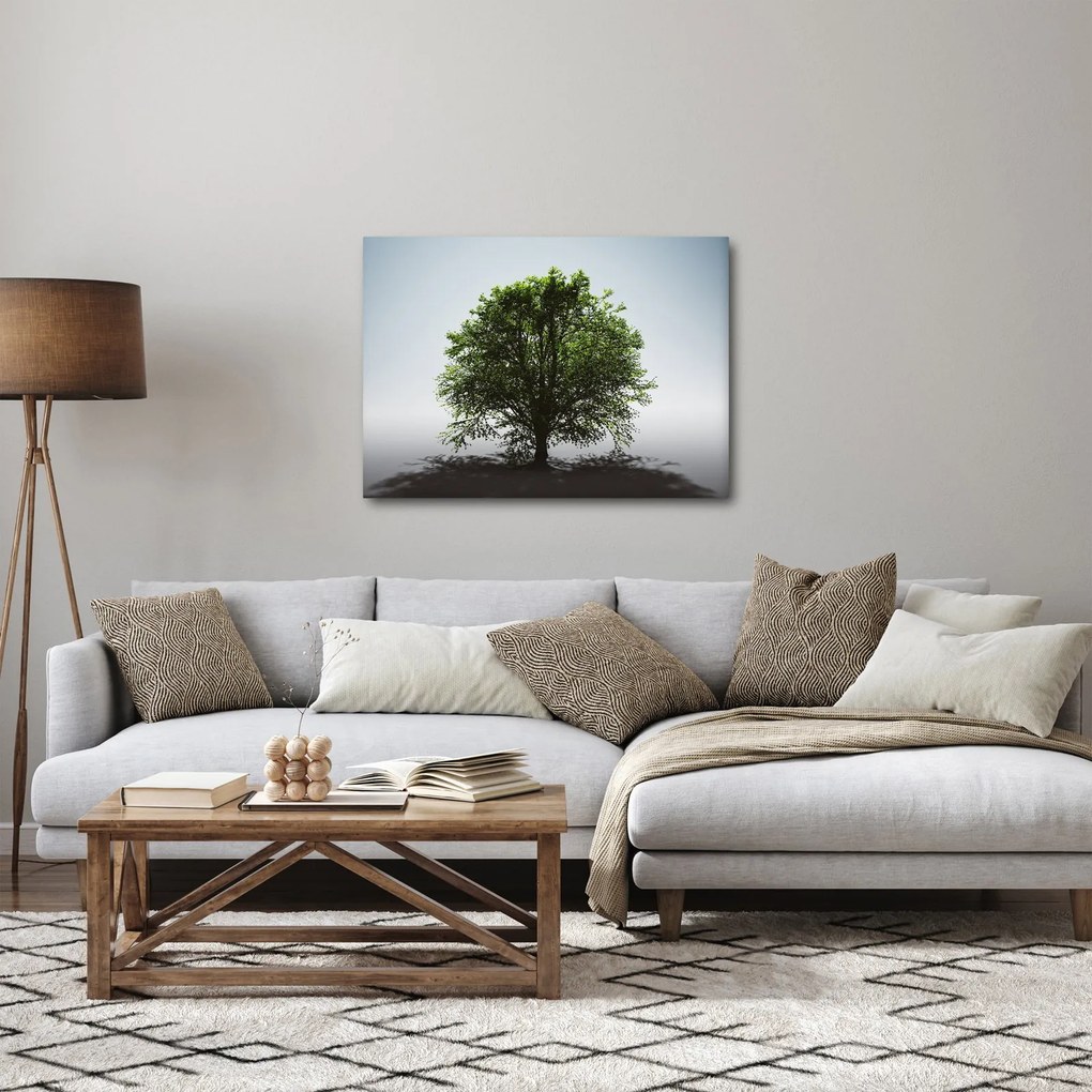 Obraz - Samotne drzewo (70x50 cm)