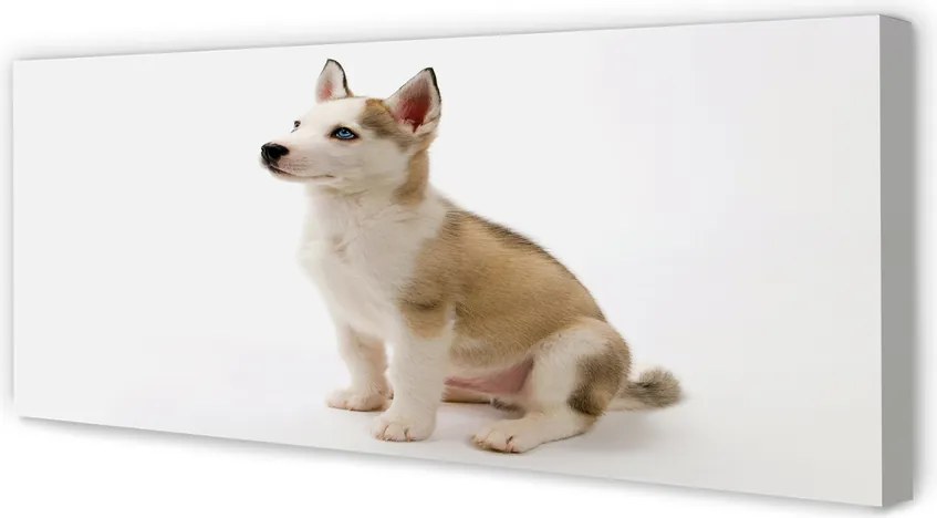 Duży obraz na płótnie Siedzący Mały Piesek